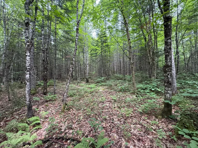 $149,900 | 403 Ackley Pond Road, Patten, ME 04765