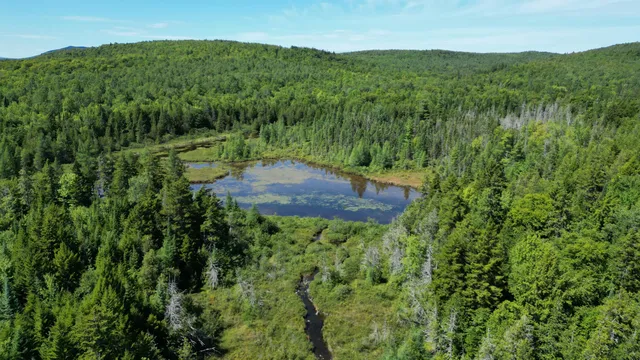 $149,900 | 403 Ackley Pond Road, Patten, ME 04765