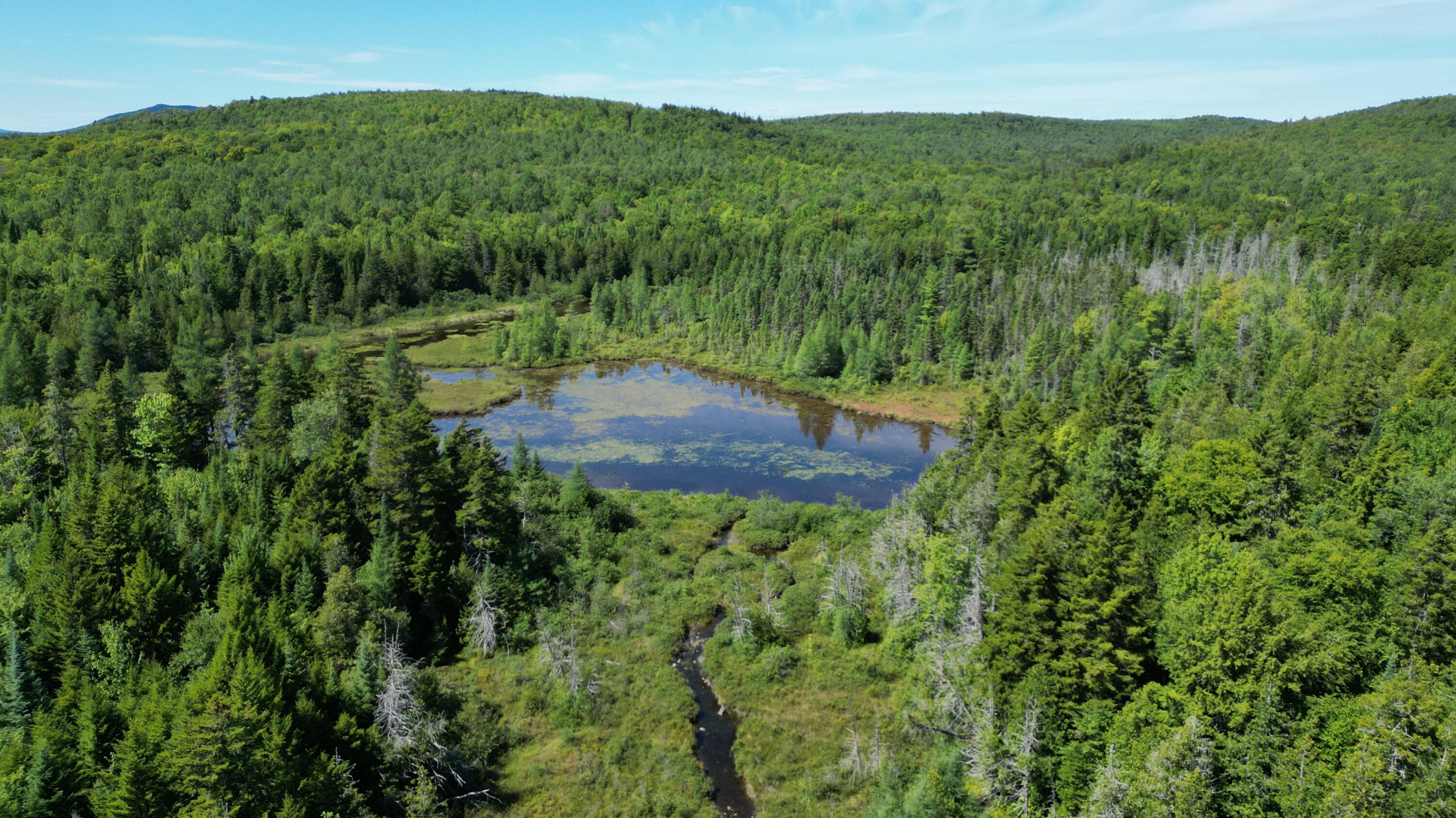 403 Ackley Pond Road Patten, ME 04765 - Photo 17 of 20 DJI_0016