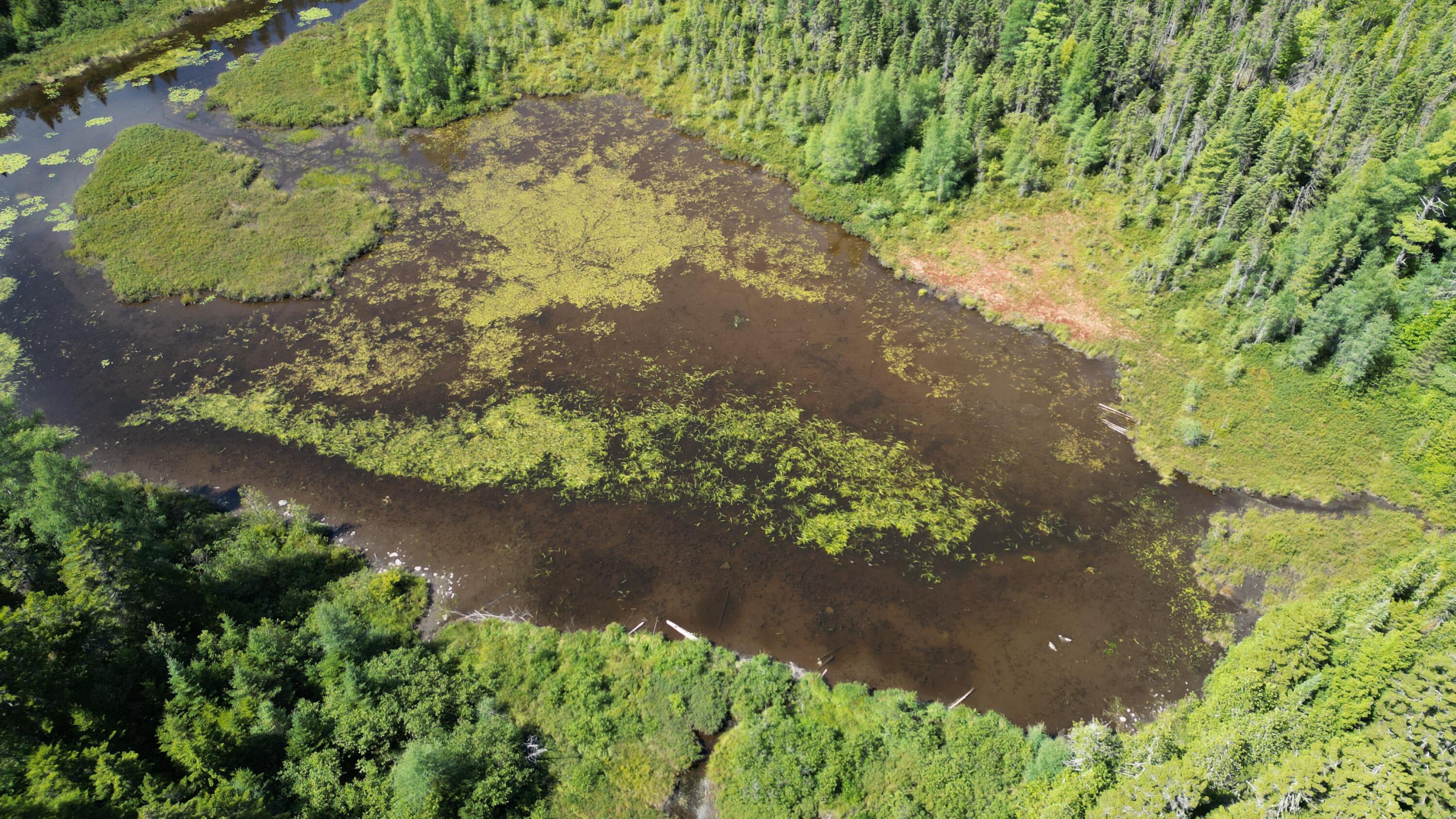 403 Ackley Pond Road Patten, ME 04765 - Photo 18 of 20 DJI_0017