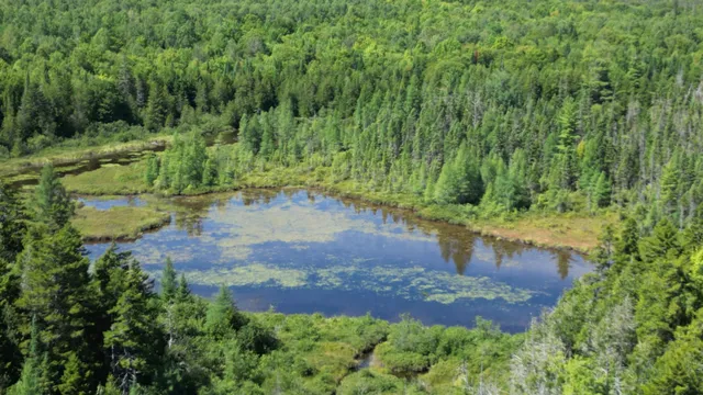 $149,900 | 403 Ackley Pond Road, Patten, ME 04765