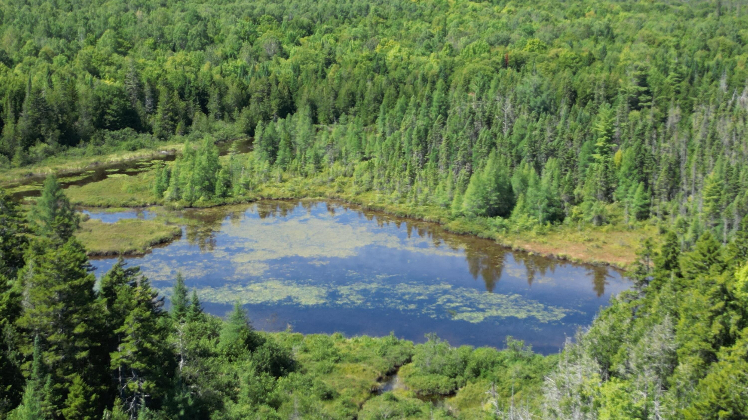 403 Ackley Pond Road Patten, ME 04765 - Photo 19 of 20 DJI_0015