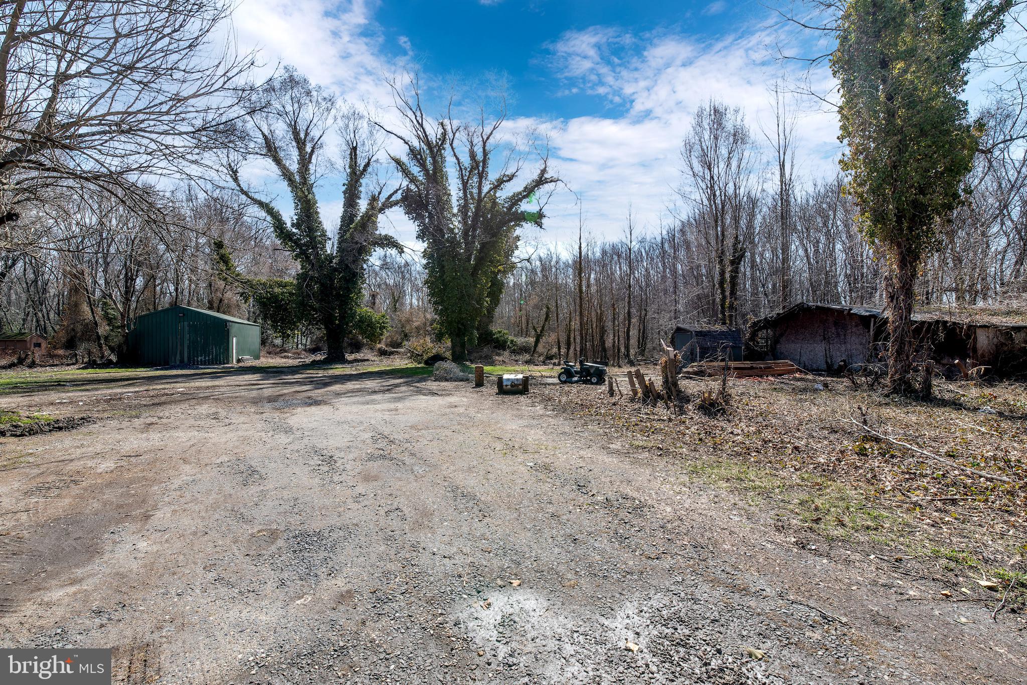 441 Harding Highway Pittsgrove, NJ 08318 - Photo 49 of 61 a view of backyard with large trees