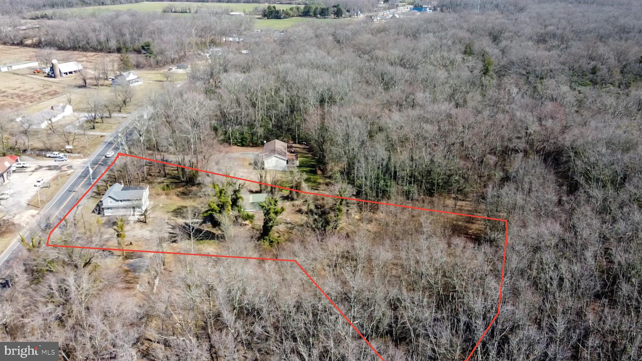 441 Harding Highway Pittsgrove, NJ 08318 - Photo 56 of 61 a view of a yard with large trees