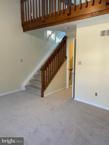a view of a backyard with plants