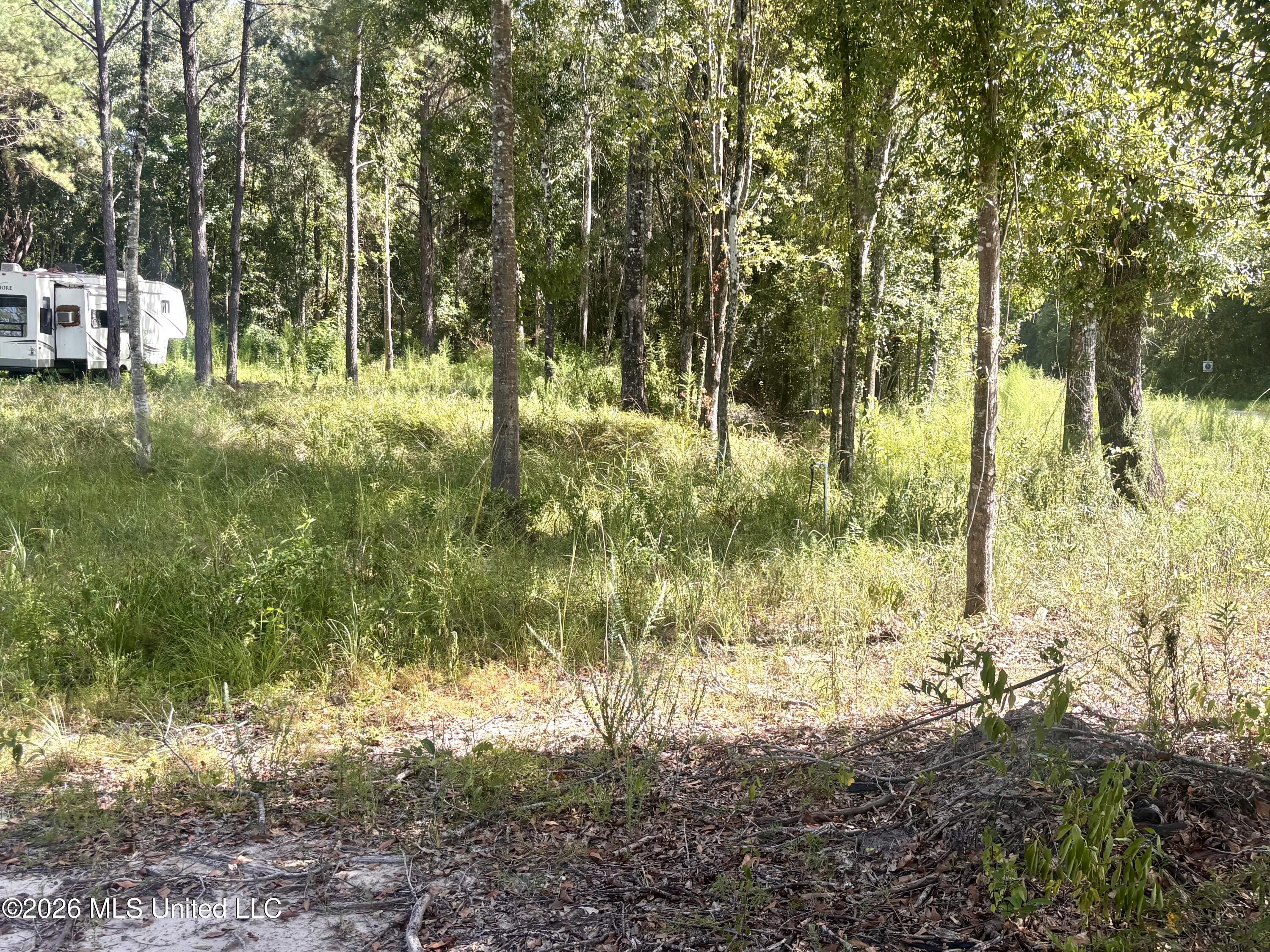 0 Robert Rhodes Road Poplarville, MS 39470 - Photo 7 of 11 IMG_3183