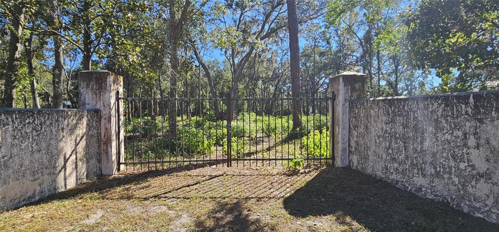 Piermaj Lane Lutz, FL 33549 - Photo 2 of 15 a view of a pathway covered with tall trees