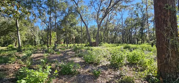 $600,000 | Piermaj Lane, Lutz, FL 33549