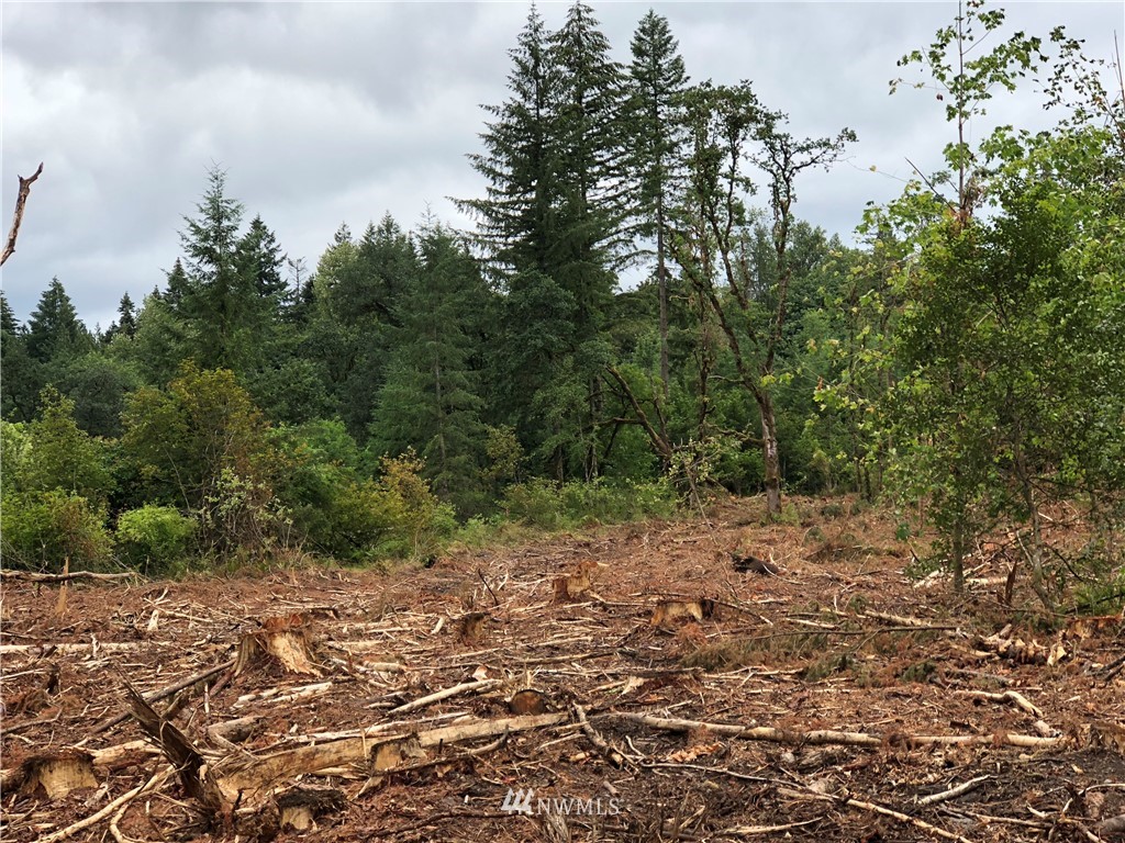 16634 Sargent Road Southwest Rochester, WA 98579 - Photo 7 of 8