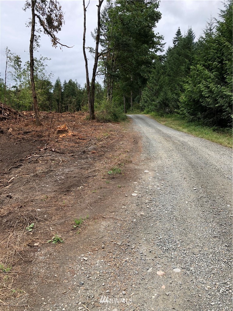 16634 Sargent Road Southwest Rochester, WA 98579 - Photo 8 of 8