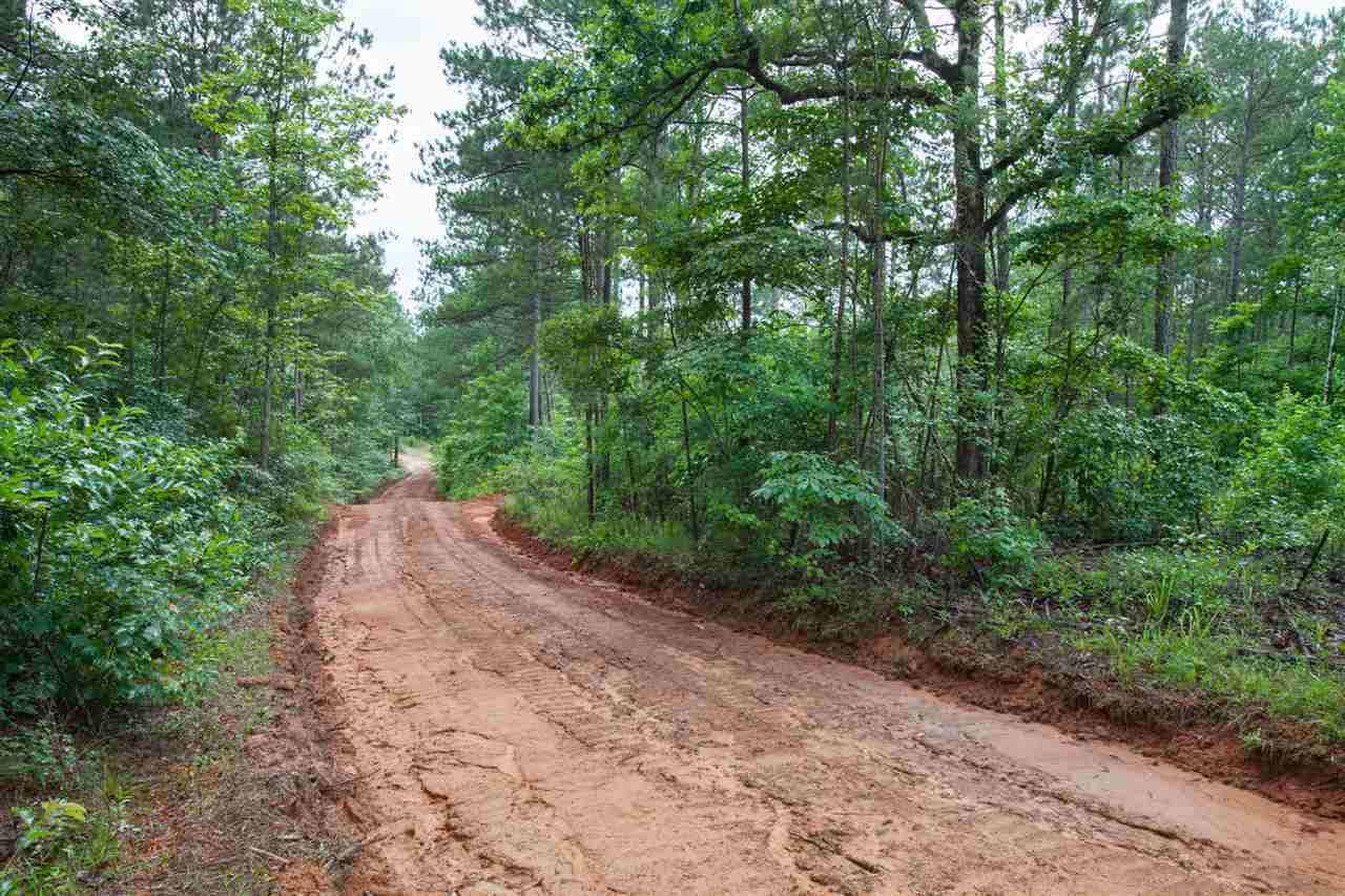 320 Mt Zion Road Camden, MS 39045 - Photo 12 of 42 Photo 12