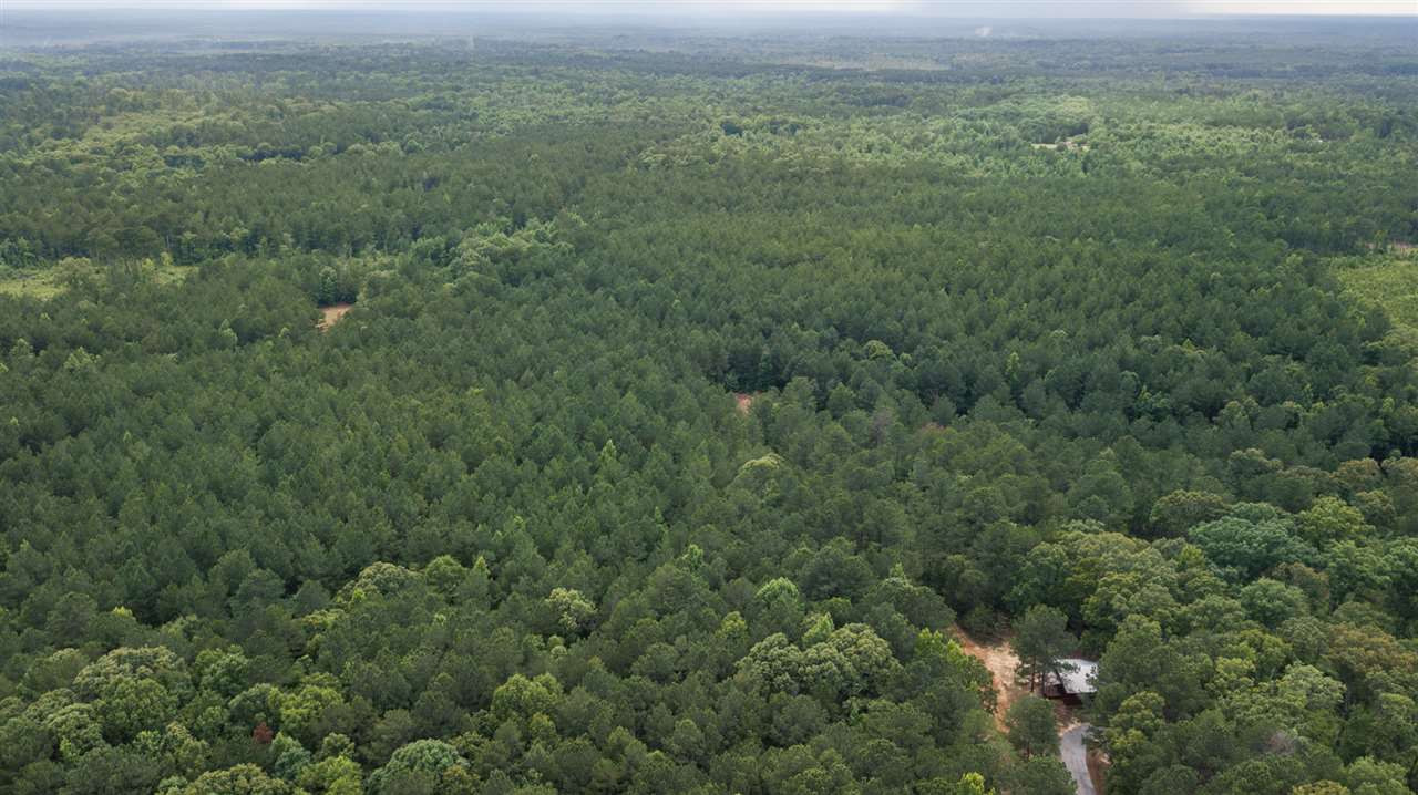 320 Mt Zion Road Camden, MS 39045 - Photo 36 of 42 Photo 39