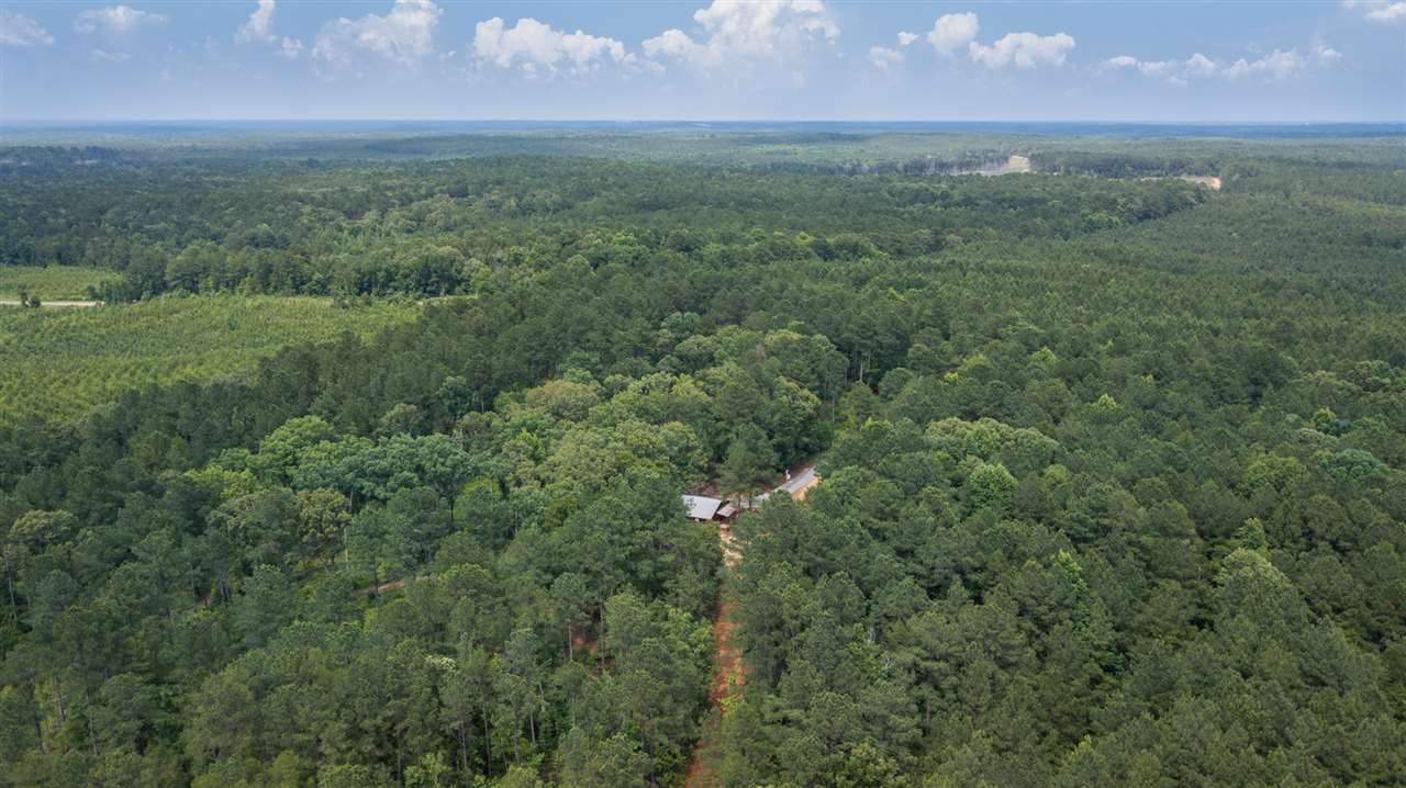320 Mt Zion Road Camden, MS 39045 - Photo 39 of 42 Photo 42