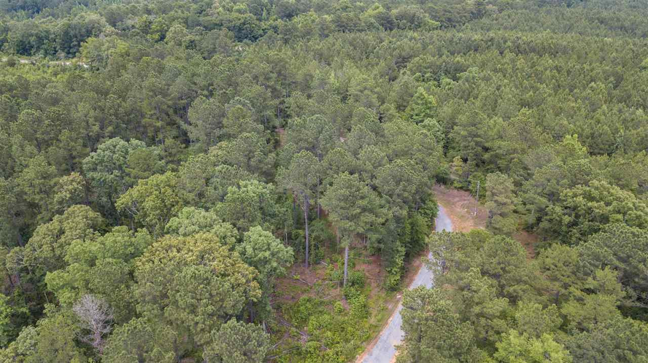 320 Mt Zion Road Camden, MS 39045 - Photo 40 of 42 Photo 43