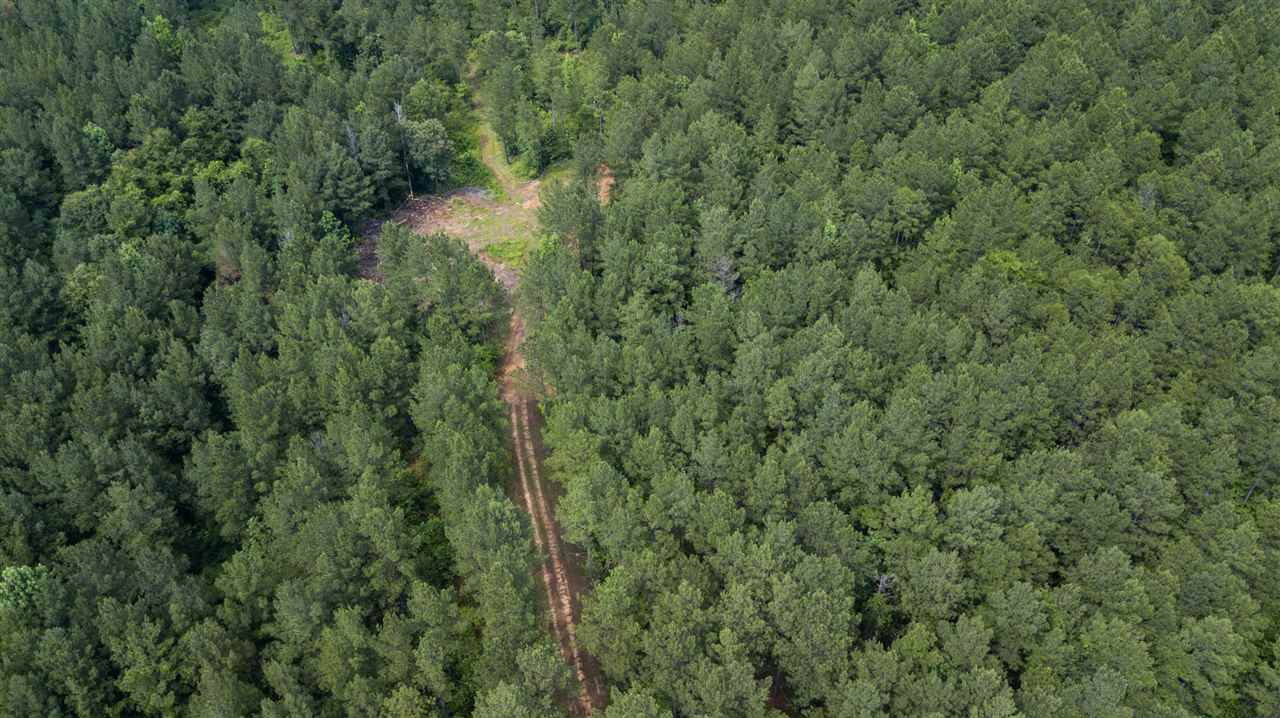 320 Mt Zion Road Camden, MS 39045 - Photo 41 of 42 Photo 44