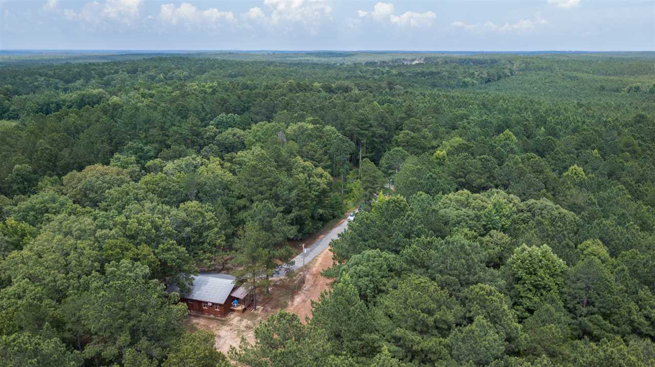 320 Mt Zion Road Camden, MS 39045 - Photo 6 of 42 Photo 6