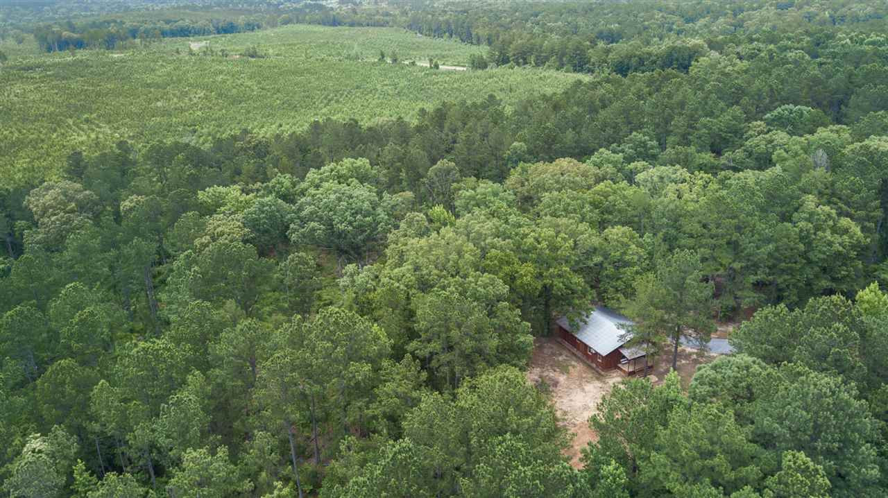 320 Mt Zion Road Camden, MS 39045 - Photo 7 of 42 Photo 7