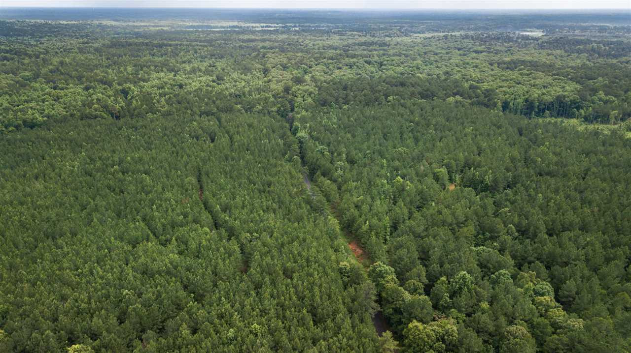320 Mt Zion Road Camden, MS 39045 - Photo 10 of 42 Photo 10