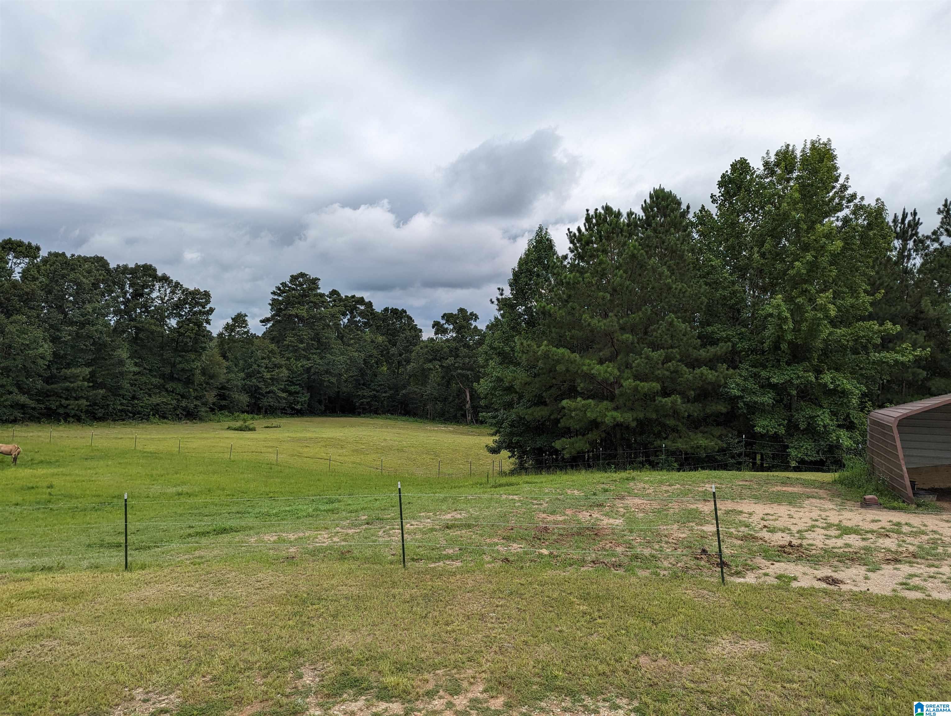 239 County Road 835 Clanton, AL 35046 - Photo 41 of 55