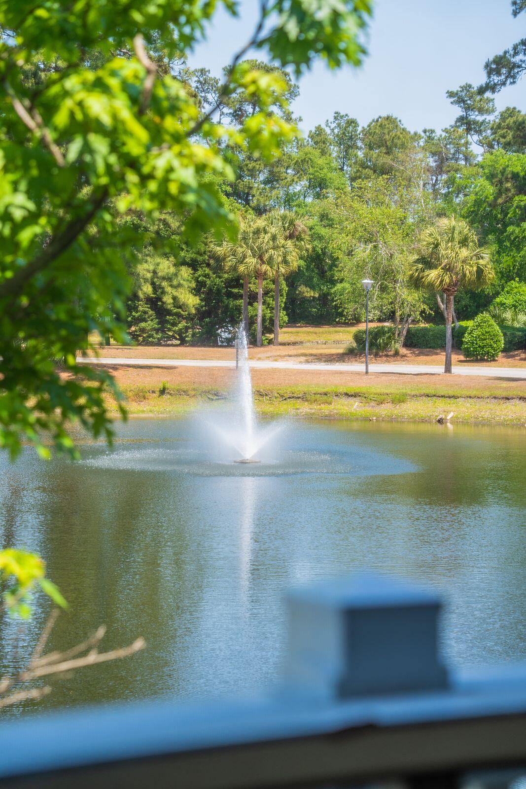2011 North Highway 17, Unit 1900R Mount Pleasant, SC 29466 - Photo 22 of 79 Fountain View