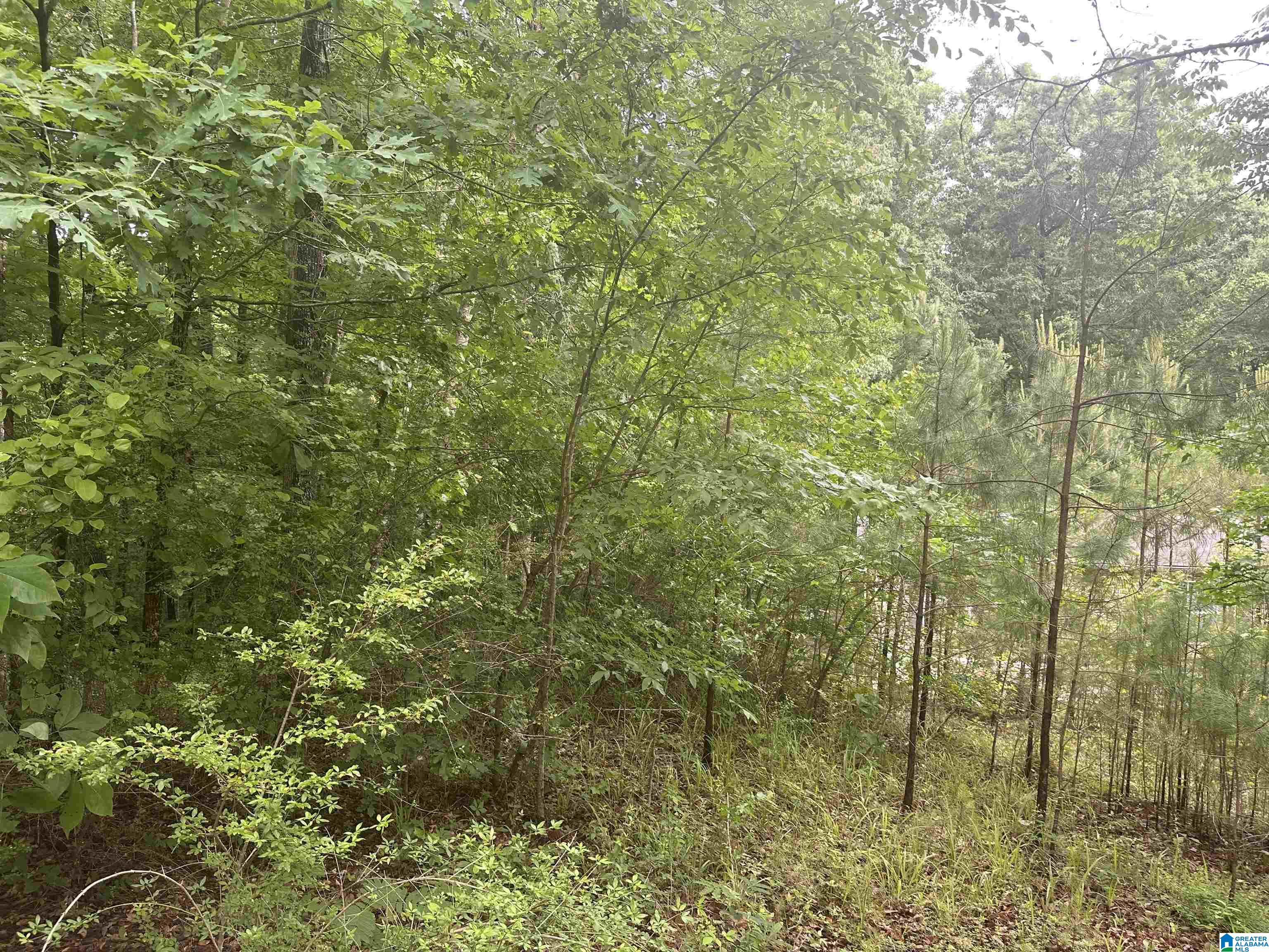 3098 McClendon Chapel Road Bessemer, AL 35022 - Photo 16 of 16