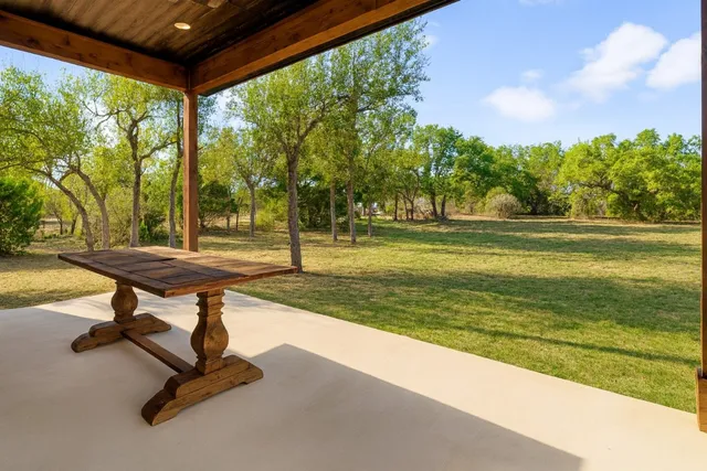 a view of a backyard with a large tree