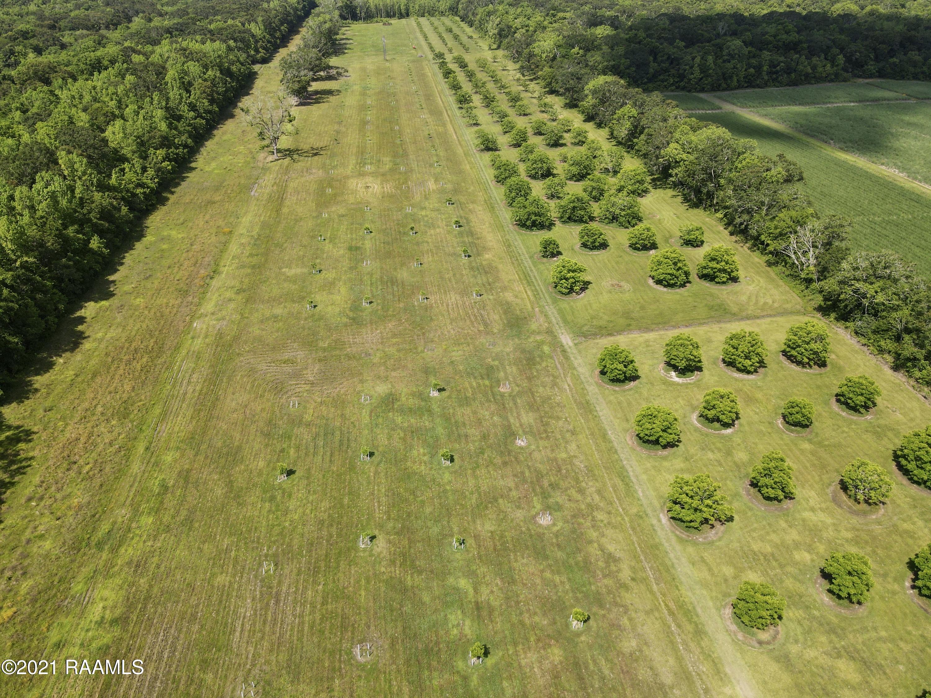 0 Gloria Kern Road Breaux Bridge, LA 70517 - Photo 9 of 25