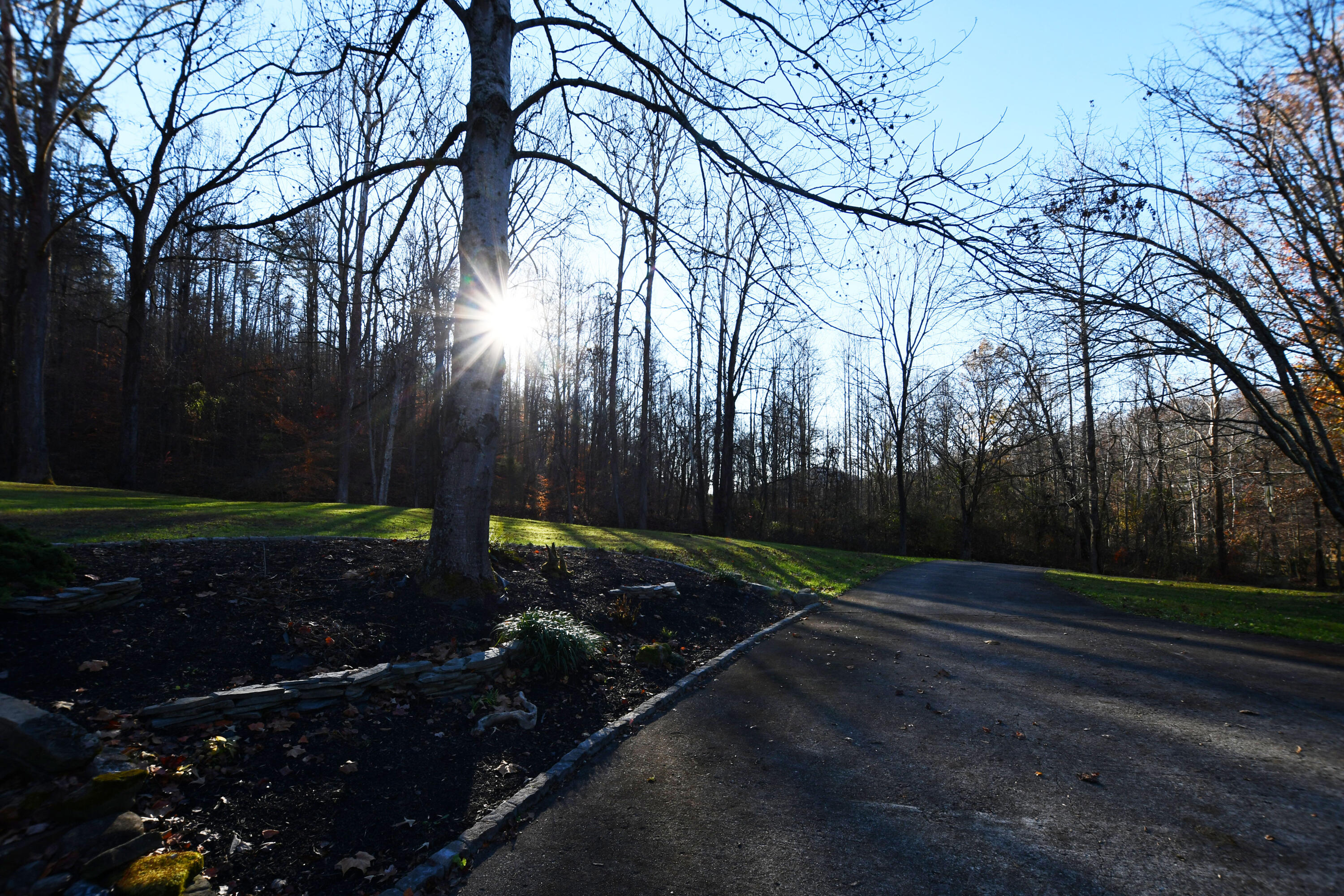 820 Sweet Lick Road Ravenna, KY 40472 - Photo 64 of 73 Peaceful country setting with sunlit views and a beautifully maintained driveway entrance!