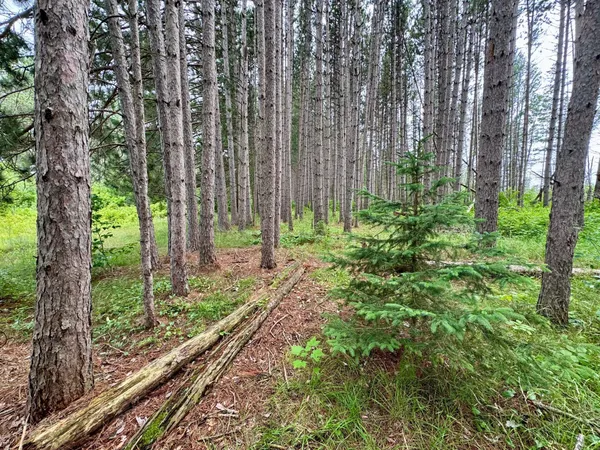 $59,900 | 20 St Sw Pine River, Pine River, MN 56474