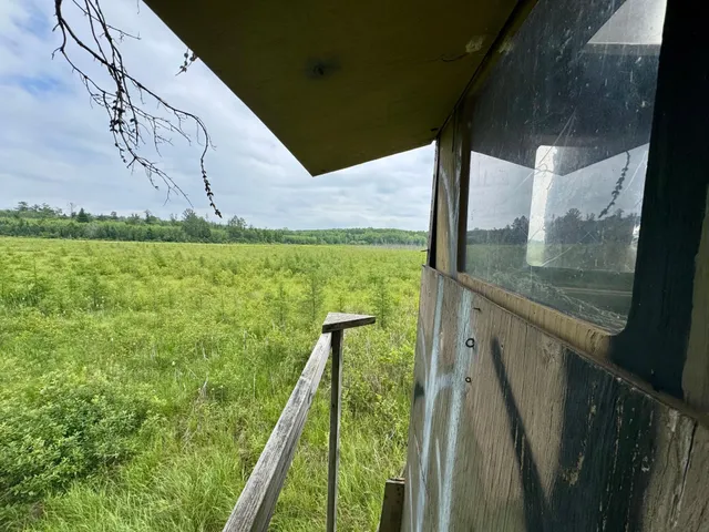 $59,900 | 20 St Sw Bull Moose Twp Mn 56474, Pine River, MN 56474