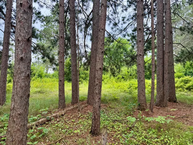 $59,900 | 20 St Sw Bull Moose Twp Mn 56474, Pine River, MN 56474