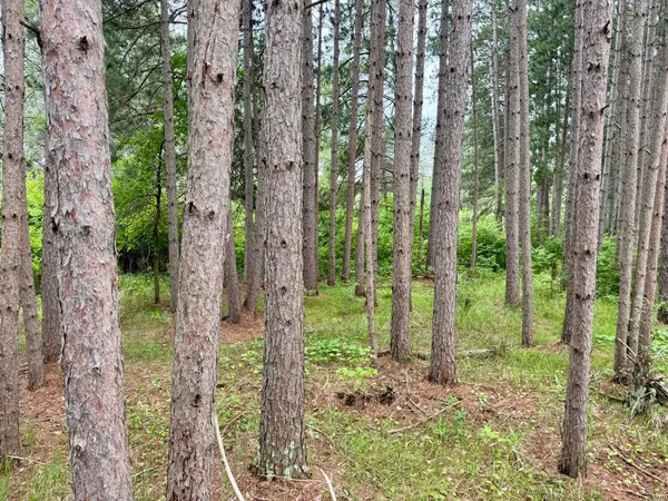 $59,900 | 20 St Sw Pine River, Pine River, MN 56474