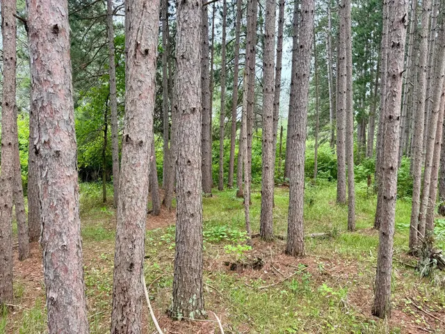 $59,900 | 20 St Sw Bull Moose Twp Mn 56474, Pine River, MN 56474