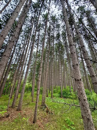 $59,900 | 20 St Sw Pine River, Pine River, MN 56474