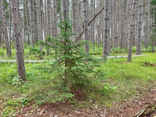 $59,900 | 20 St Sw Pine River, Pine River, MN 56474