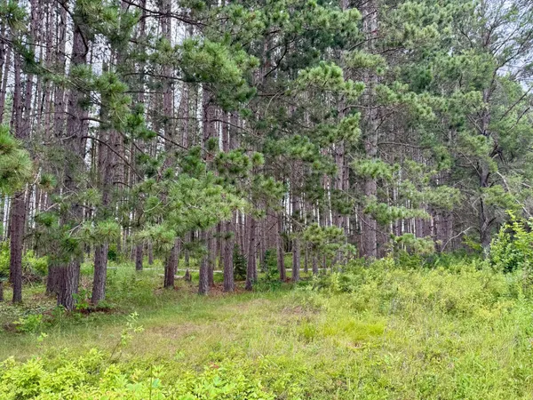 $59,900 | 20 St Sw Pine River, Pine River, MN 56474