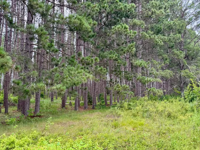 $59,900 | 20 St Sw Bull Moose Twp Mn 56474, Pine River, MN 56474