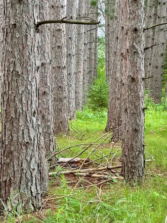 $59,900 | 20 St Sw Pine River, Pine River, MN 56474