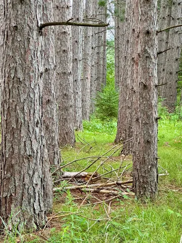 $59,900 | 20 St Sw Bull Moose Twp Mn 56474, Pine River, MN 56474