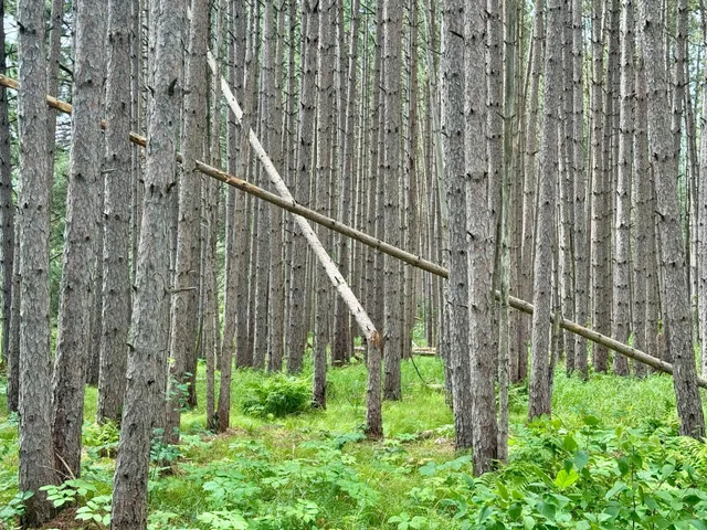 $59,900 | 20 St Sw Bull Moose Twp Mn 56474, Pine River, MN 56474