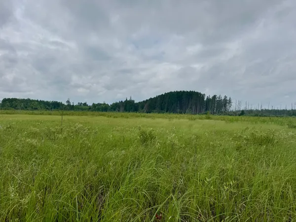 $59,900 | 20 St Sw Pine River, Pine River, MN 56474