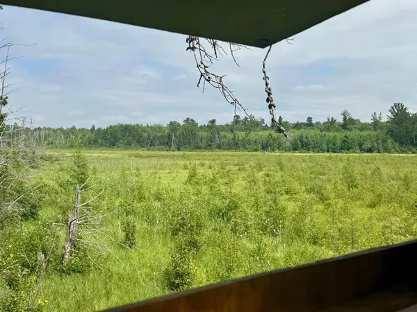 $59,900 | 20 St Sw Pine River, Pine River, MN 56474