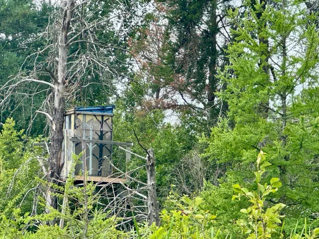 $59,900 | 20 St Sw Bull Moose Twp Mn 56474, Pine River, MN 56474