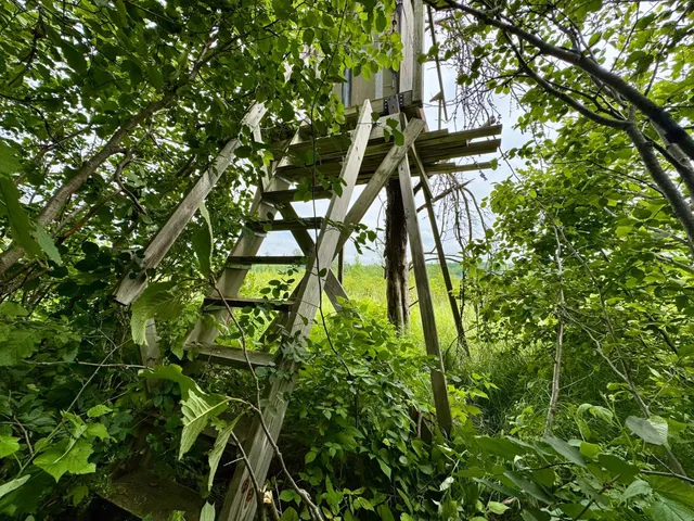 $59,900 | 20 St Sw Bull Moose Twp Mn 56474, Pine River, MN 56474