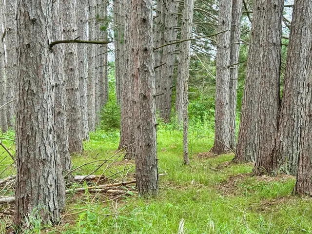 $59,900 | 20 St Sw Bull Moose Twp Mn 56474, Pine River, MN 56474