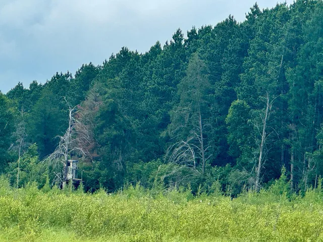 $59,900 | 20 St Sw Bull Moose Twp Mn 56474, Pine River, MN 56474