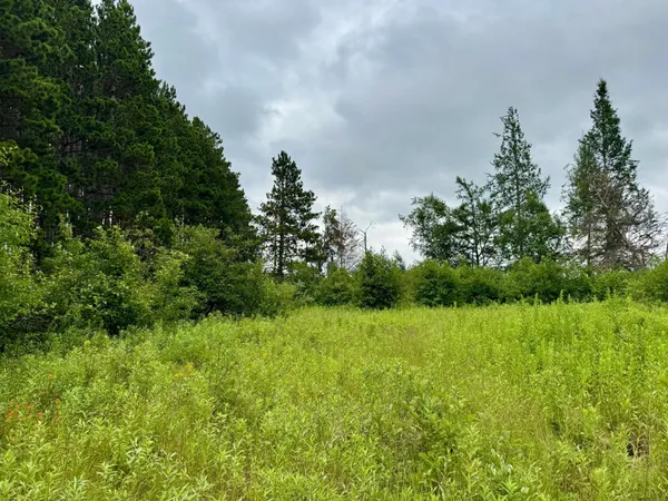 $59,900 | 20 St Sw Pine River, Pine River, MN 56474