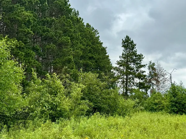 $59,900 | 20 St Sw Pine River, Pine River, MN 56474