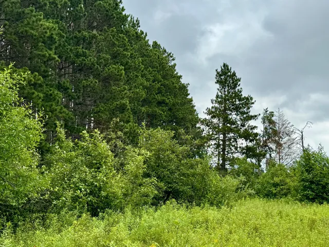 $59,900 | 20 St Sw Bull Moose Twp Mn 56474, Pine River, MN 56474