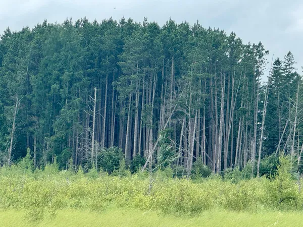 $59,900 | 20 St Sw Pine River, Pine River, MN 56474